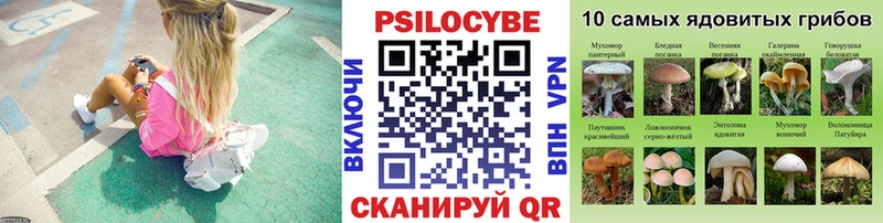 Псилоцибиновые грибы Cubensis  Купить где  Старая Купавна 